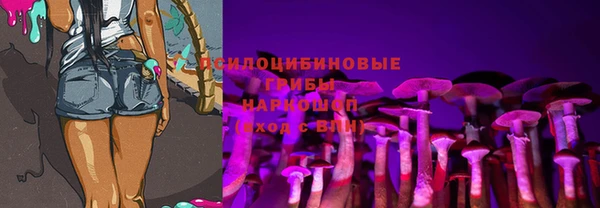 спиды Алексеевка