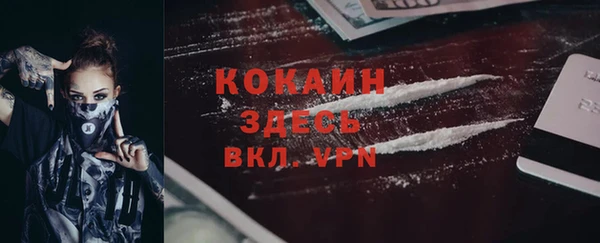 хмурый Абаза