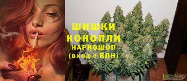 хмурый Абаза