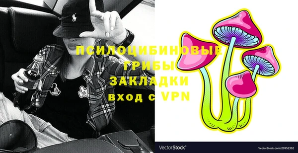 хмурый Абаза