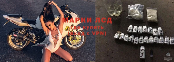 хмурый Абаза