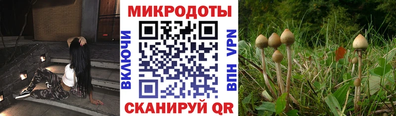 Псилоцибиновые грибы мицелий  Камышлов 