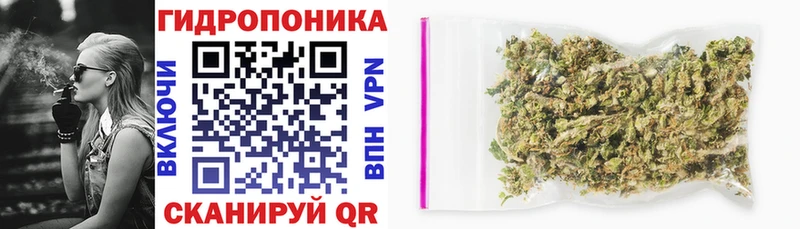 МАРИХУАНА индика даркнет сайт Камышлов